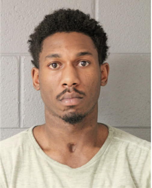 STEPHAN M HERRING, Cook County, Illinois