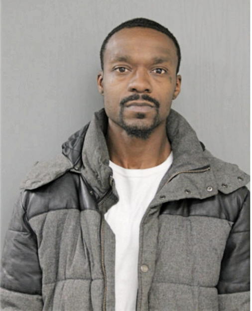 JOSHUA L HOLLINS, Cook County, Illinois