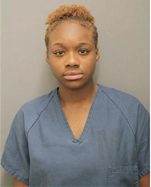 TIERRA S JOHNSON, Cook County, Illinois