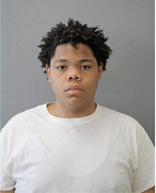 PETER L JONES, Cook County, Illinois