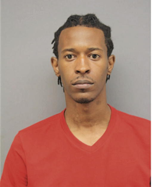 ERIC A KIRK, Cook County, Illinois