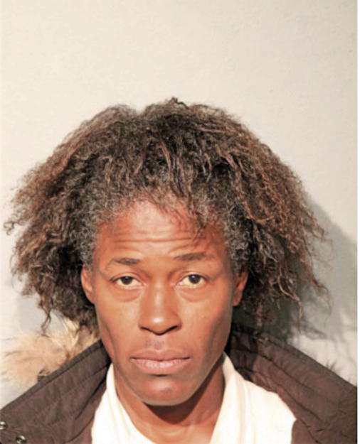 PATRICIA L LANE, Cook County, Illinois
