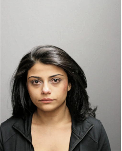 PAULINA L MARKS, Cook County, Illinois
