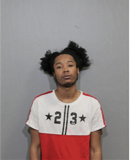 CHAPMAN L NELSON, Cook County, Illinois