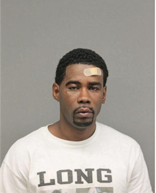MICHAEL A SMITH, Cook County, Illinois