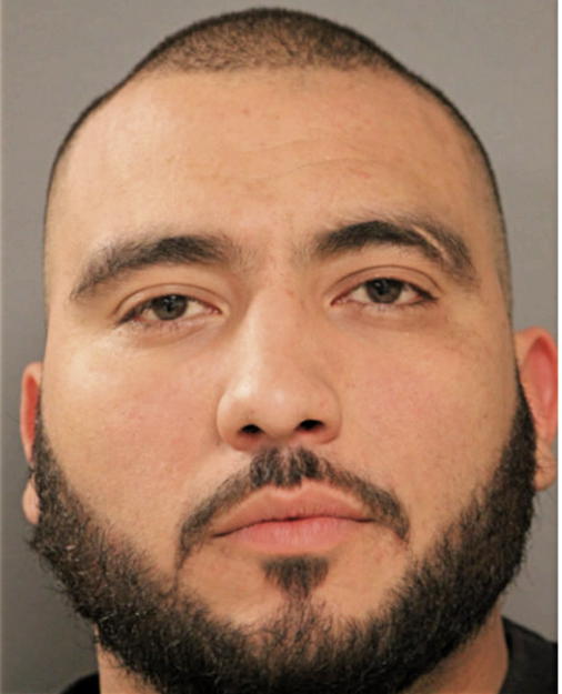 FERNANDO VERDUZCO, Cook County, Illinois