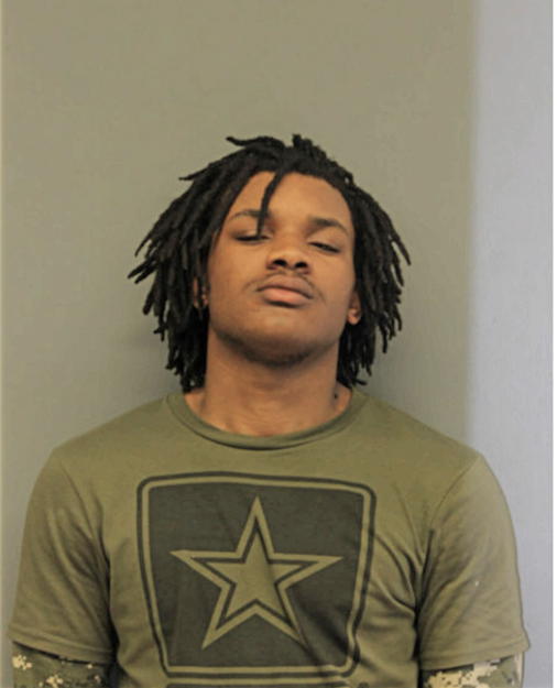 DEMONTE J WATKINS, Cook County, Illinois