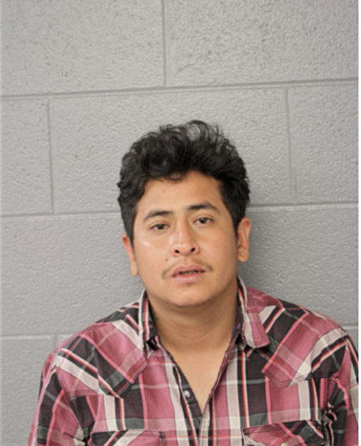 ADALID ACEVEDO, Cook County, Illinois