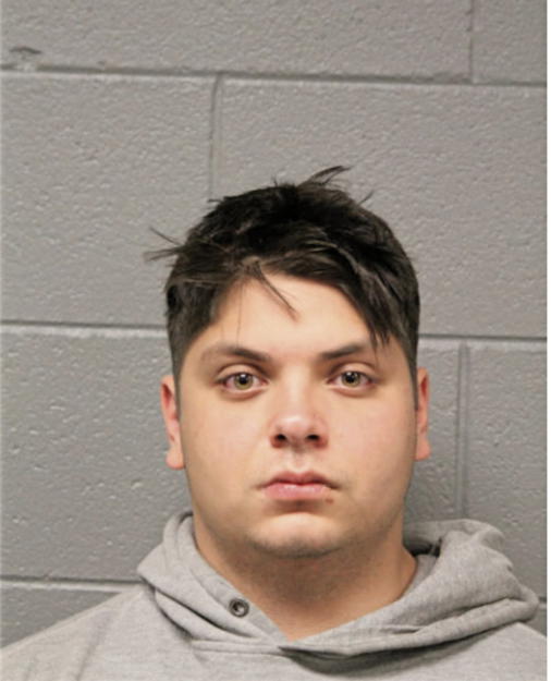 JULIO ALEMAN, Cook County, Illinois