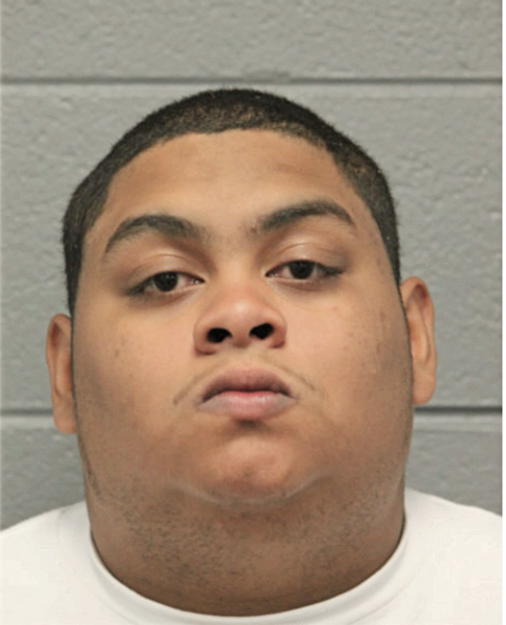 LUIS ALEMAN, Cook County, Illinois
