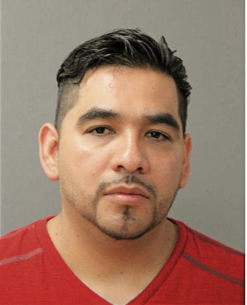 ENRIQUE BAHENA, Cook County, Illinois