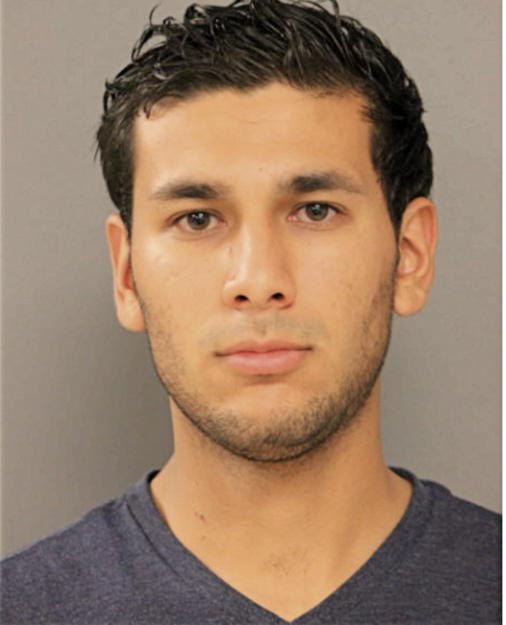 JORGE M BAHENA, Cook County, Illinois