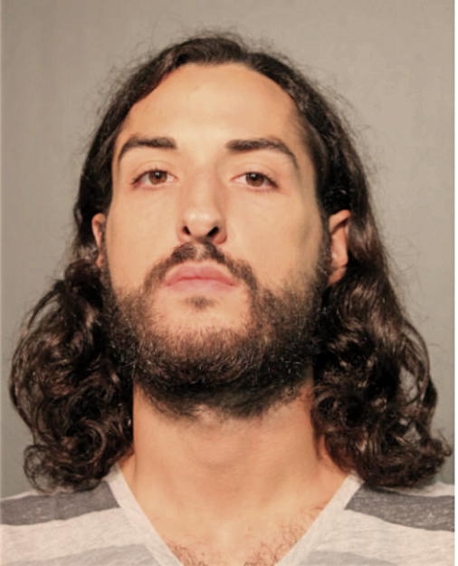 RONALD P BLANCHETTE, Cook County, Illinois