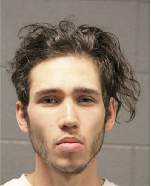 DANIEL J BOL, Cook County, Illinois