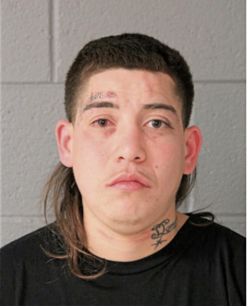ERICK FLORES, Cook County, Illinois