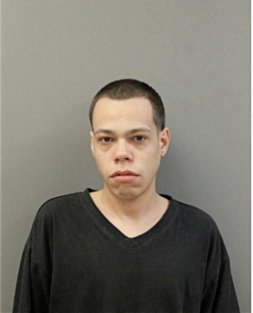 JOSE L HERNANDEZ, Cook County, Illinois