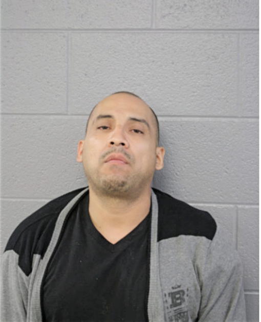JUAN M HERNANDEZ, Cook County, Illinois