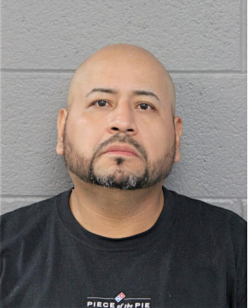 MARCO A IBARRA PITA, Cook County, Illinois