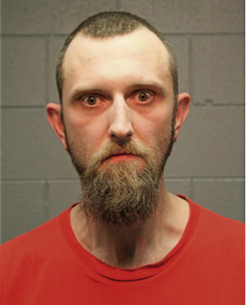 JOHN A LAIB, Cook County, Illinois