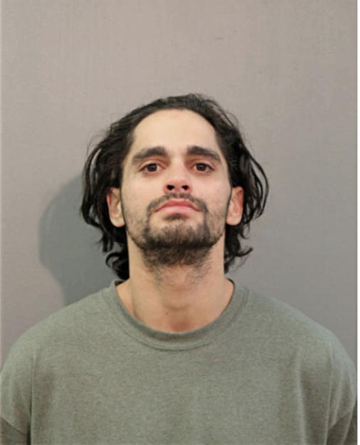 ADRIAN N LEMUS, Cook County, Illinois