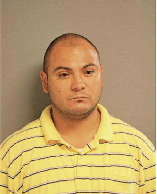 ALEX J MARTINEZ, Cook County, Illinois
