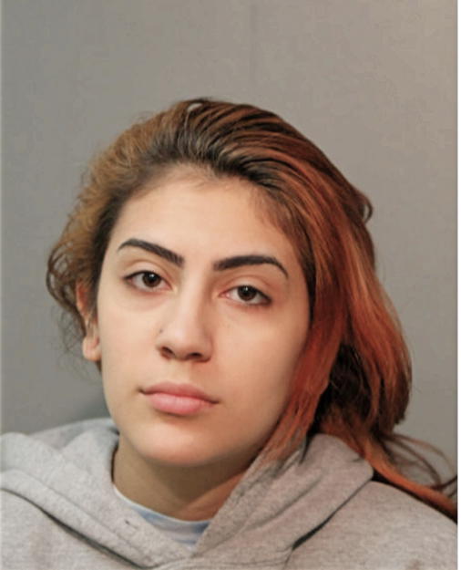 YANARIE MARTINEZ, Cook County, Illinois