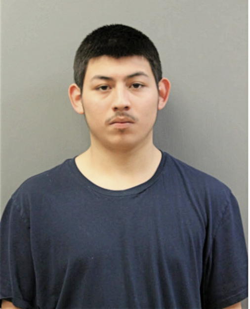 LUIS F MAXINEZ, Cook County, Illinois