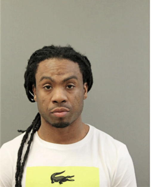 LUKAS L MCGEE, Cook County, Illinois