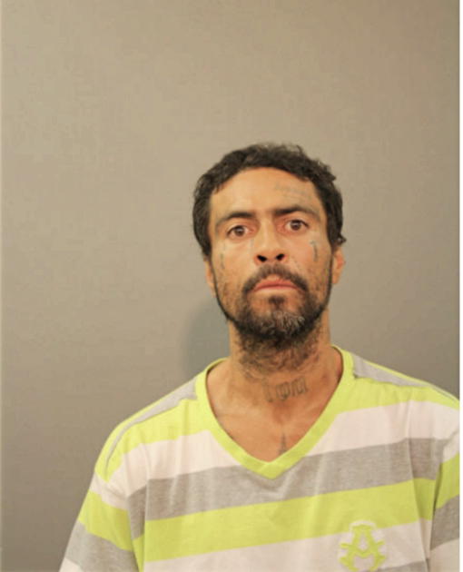 RAMON MENDOZA, Cook County, Illinois