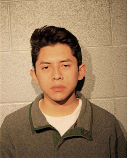 MARIO J MORALES, Cook County, Illinois