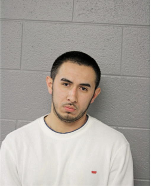 CARLOS ORTEGA, Cook County, Illinois