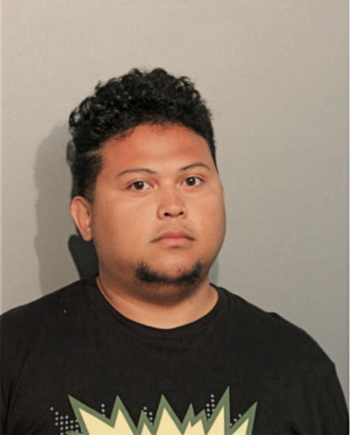 DJQ PONO QUIRANTE, Cook County, Illinois