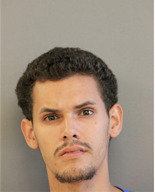 HECTOR M RIVERA-ROBLES, Cook County, Illinois