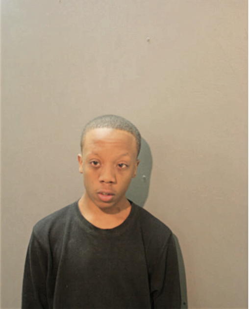 DAVID L ROBINSON, Cook County, Illinois