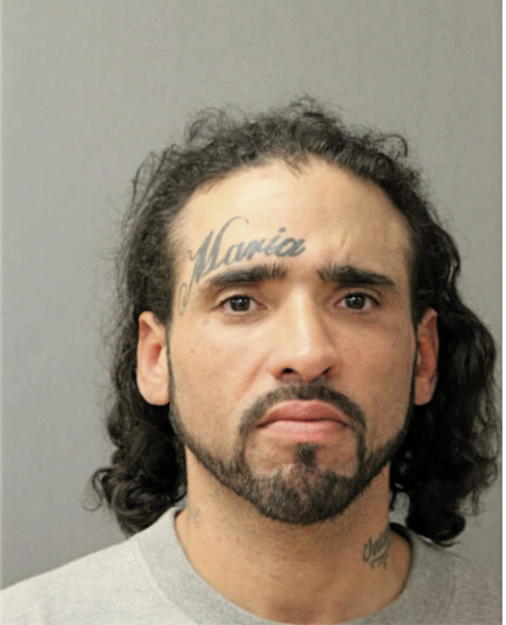 OSCAR A ROMAN, Cook County, Illinois
