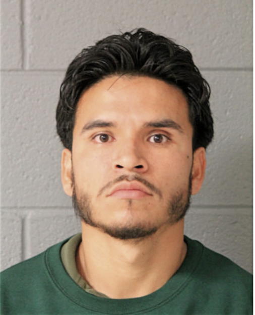 PABLO E SALGADO, Cook County, Illinois