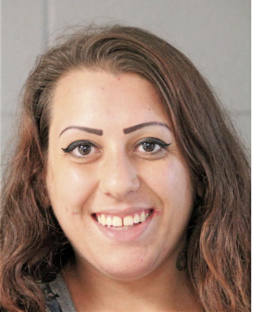NINA A SCAVONE, Cook County, Illinois