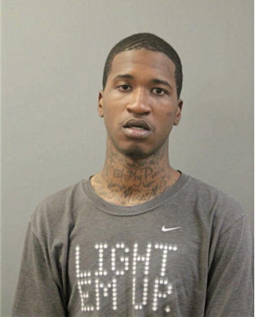 LANCE D SIMS, Cook County, Illinois