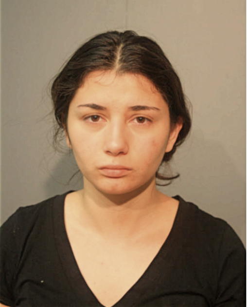 ELENA ZUSIK, Cook County, Illinois