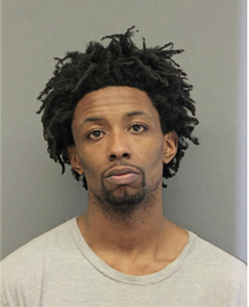 DERRICK T ALLEN, Cook County, Illinois