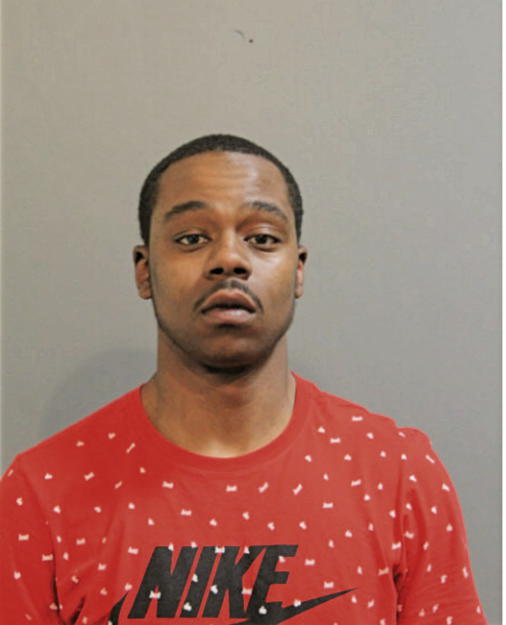 DAVID D BROWN, Cook County, Illinois
