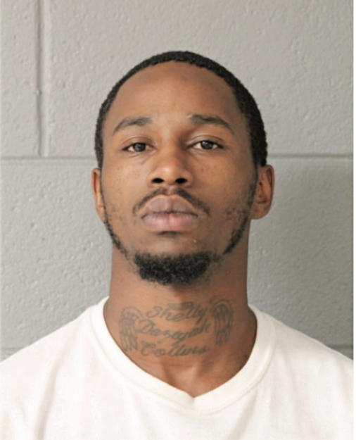 CHRISTOPHER L COLLINS, Cook County, Illinois