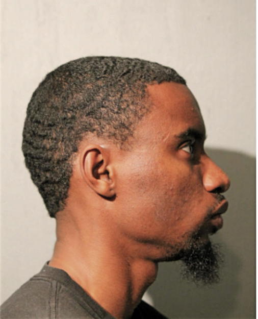 LAMEL C COLLINS, Cook County, Illinois