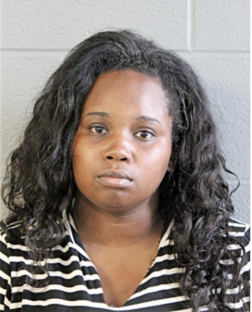 SARAH L CONNER, Cook County, Illinois