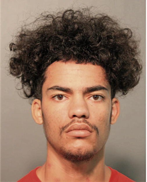 RAMON C CRUZADO, Cook County, Illinois