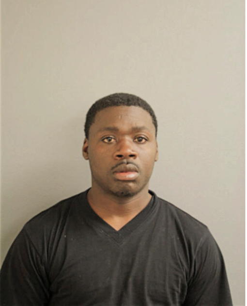 ANTON D HIGGINS, Cook County, Illinois