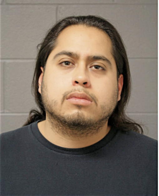 ALVARO FLORES, Cook County, Illinois