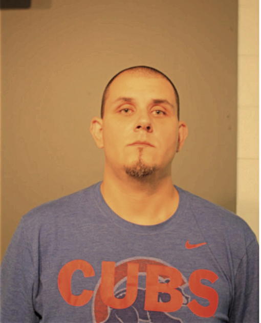ANTHONY J FORD, Cook County, Illinois
