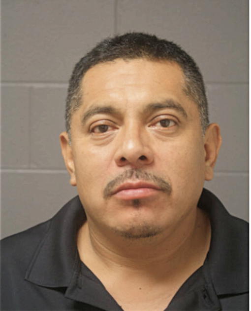 JUAN P GONZALEZ, Cook County, Illinois