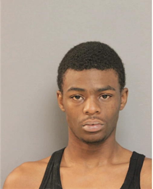 PETER L HARRIS, Cook County, Illinois